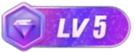 LV5 等级-LV5-X次元社